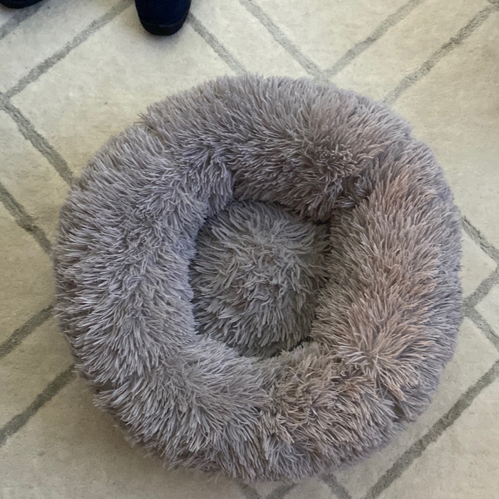 Cat/dog bed